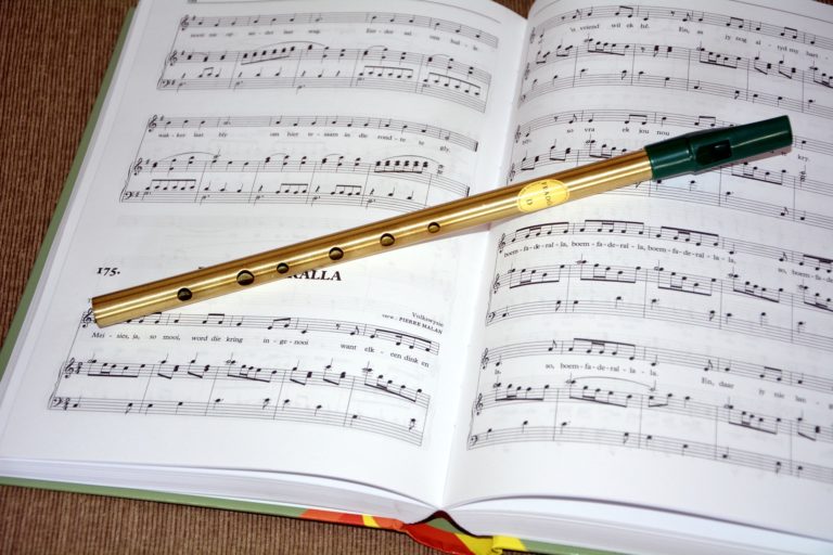 How To Learn To Play The Tin Whistle