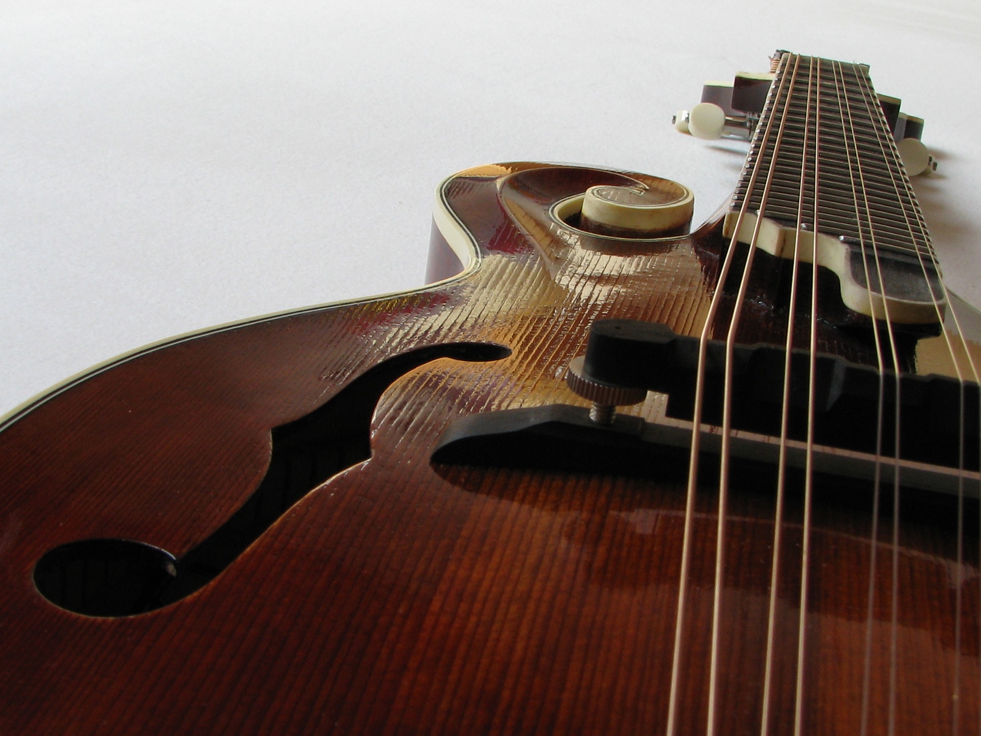 Best cheap mandolin for beginners