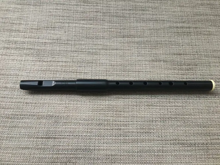 Dixon Polymer High D Tin Whistle Review