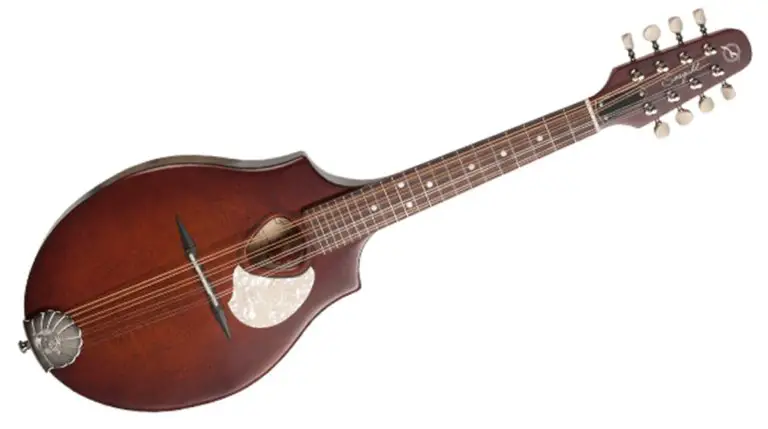 Seagull S8 Mandolin Review