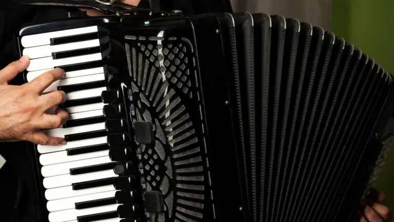 10 Best Accordions For Different-Level Users
