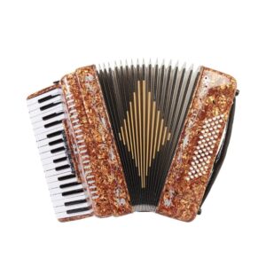 Rossetti 3460 34 Keys 60 Bass Piano Accordion with Hard Case and Straps (TIGER)